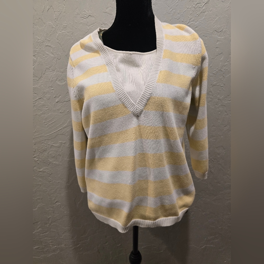 White Stag Multicolor V-Neck Sweater‎